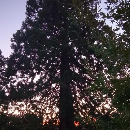 Дом отдыха Cosy Er Lann Sequoia Val-Couesnon